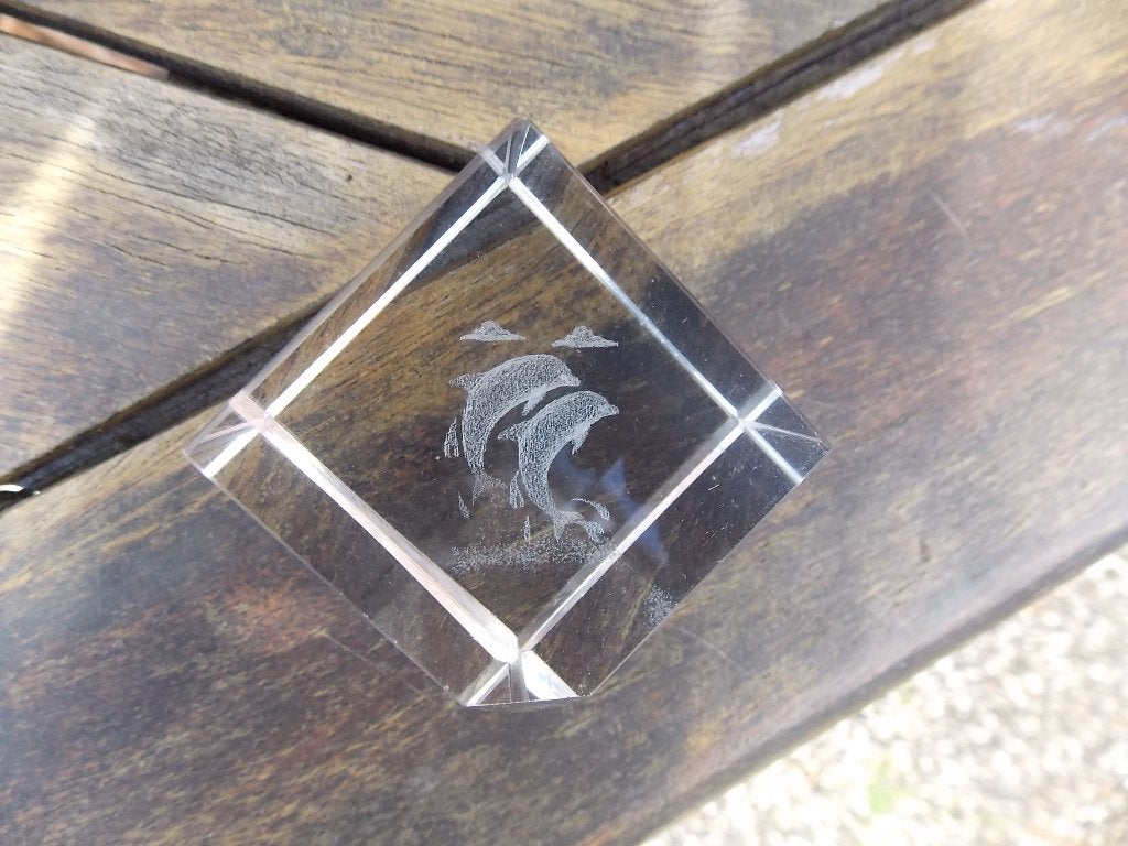 Dolfijn in glas, Ophalen of Verzenden, Zo goed als nieuw, Dier