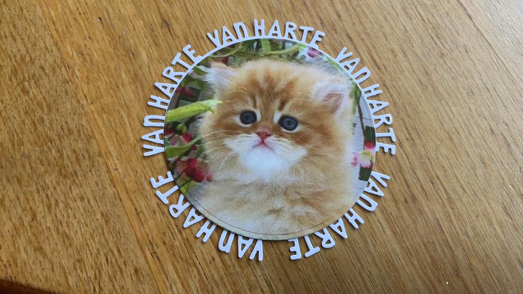 Tekst stans met plaatje 37, Ophalen of Verzenden