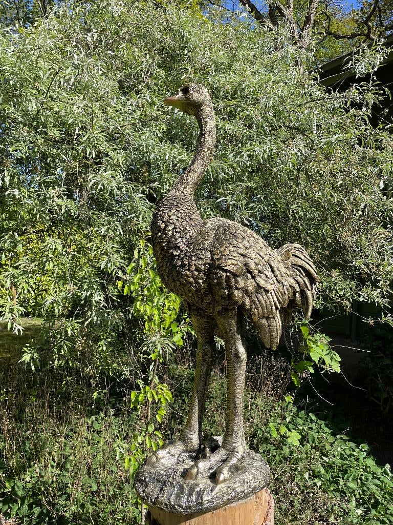 Beeld Struisvogel groot, gazon, tuin, dierentuin 110cm, Ophalen, Nieuw, Kunststof, Dierenbeeld