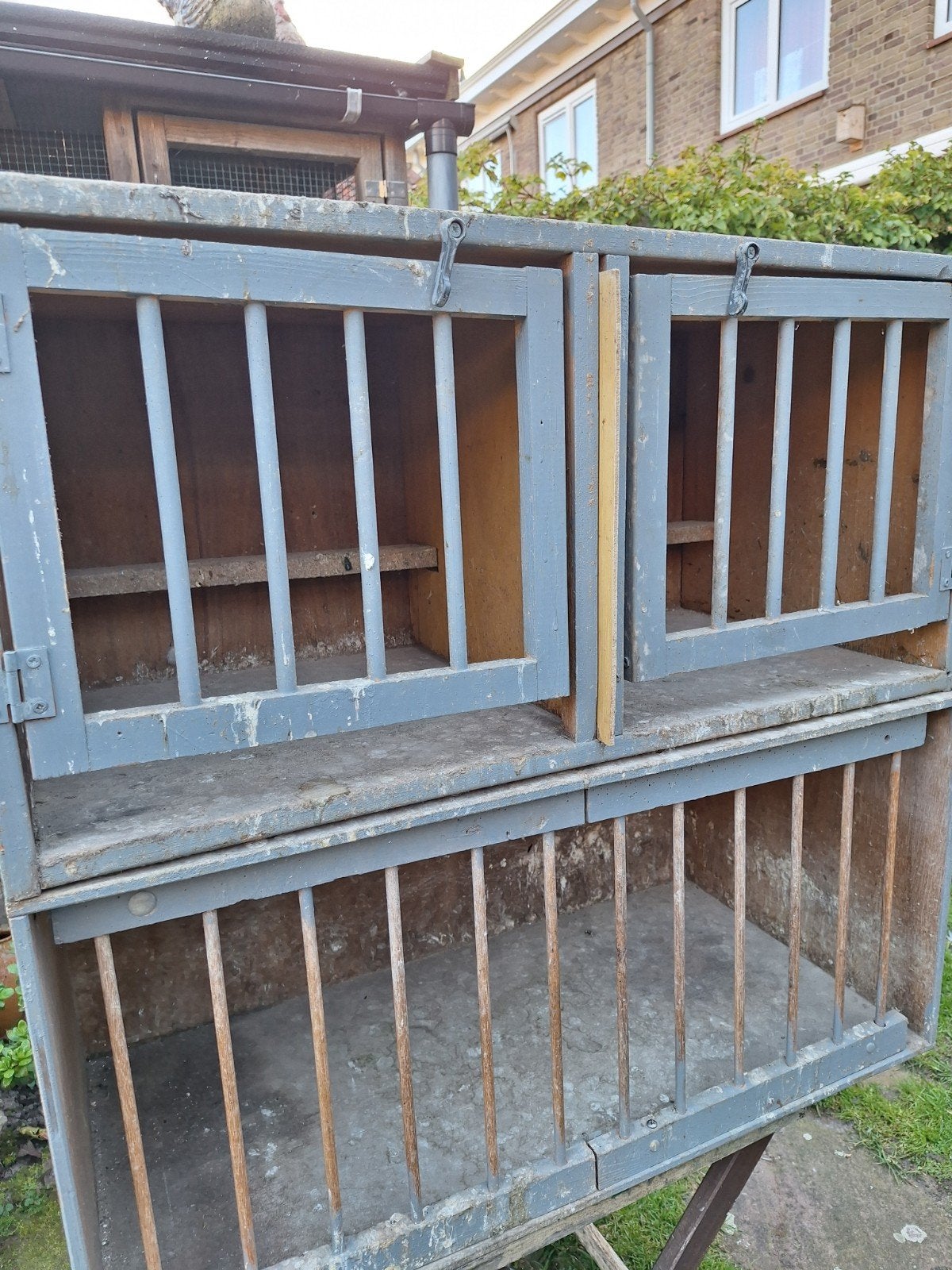 2 broedhokken ps €10, Dieren en Toebehoren, Meerdere dieren