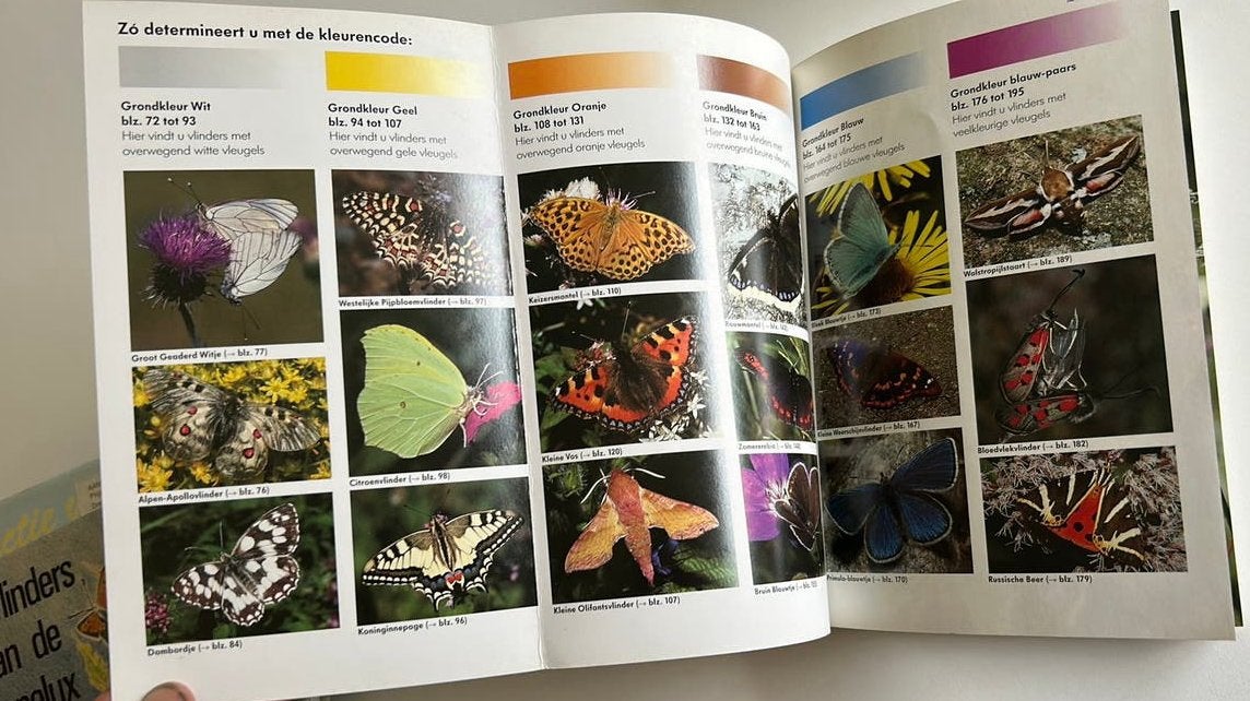 Vlinders en Rupsen - Thomas Ruckstuhl, T. Ruckstuhl, Ophalen of Verzenden, Zo goed als nieuw, Natuur algemeen