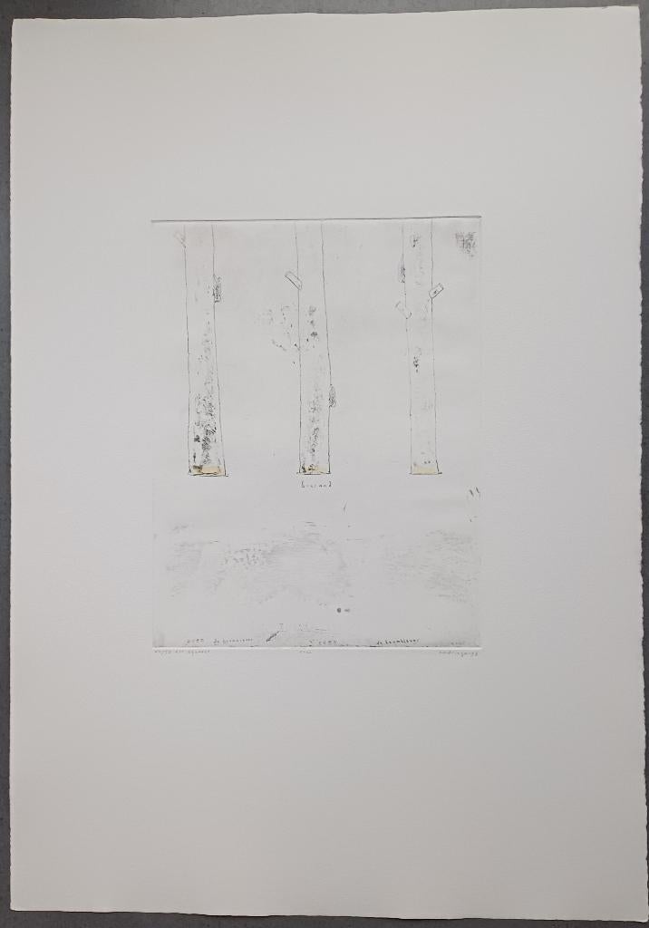 Hans Andringa - even - gesigneerde ets aquarel, Antiek en Kunst, Kunst | Etsen en Gravures, Ophalen of Verzenden