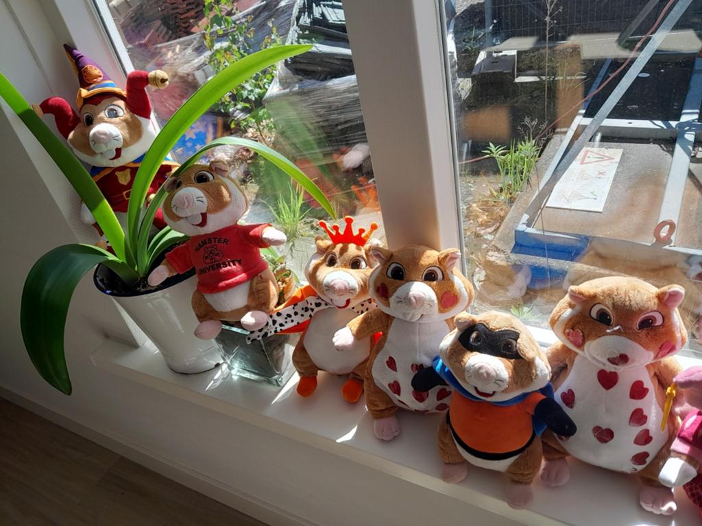 Diverse Hamster Knuffels - Albert Heijn Hamsters, Ophalen, Gebruikt, Albert Heijn, Hamster