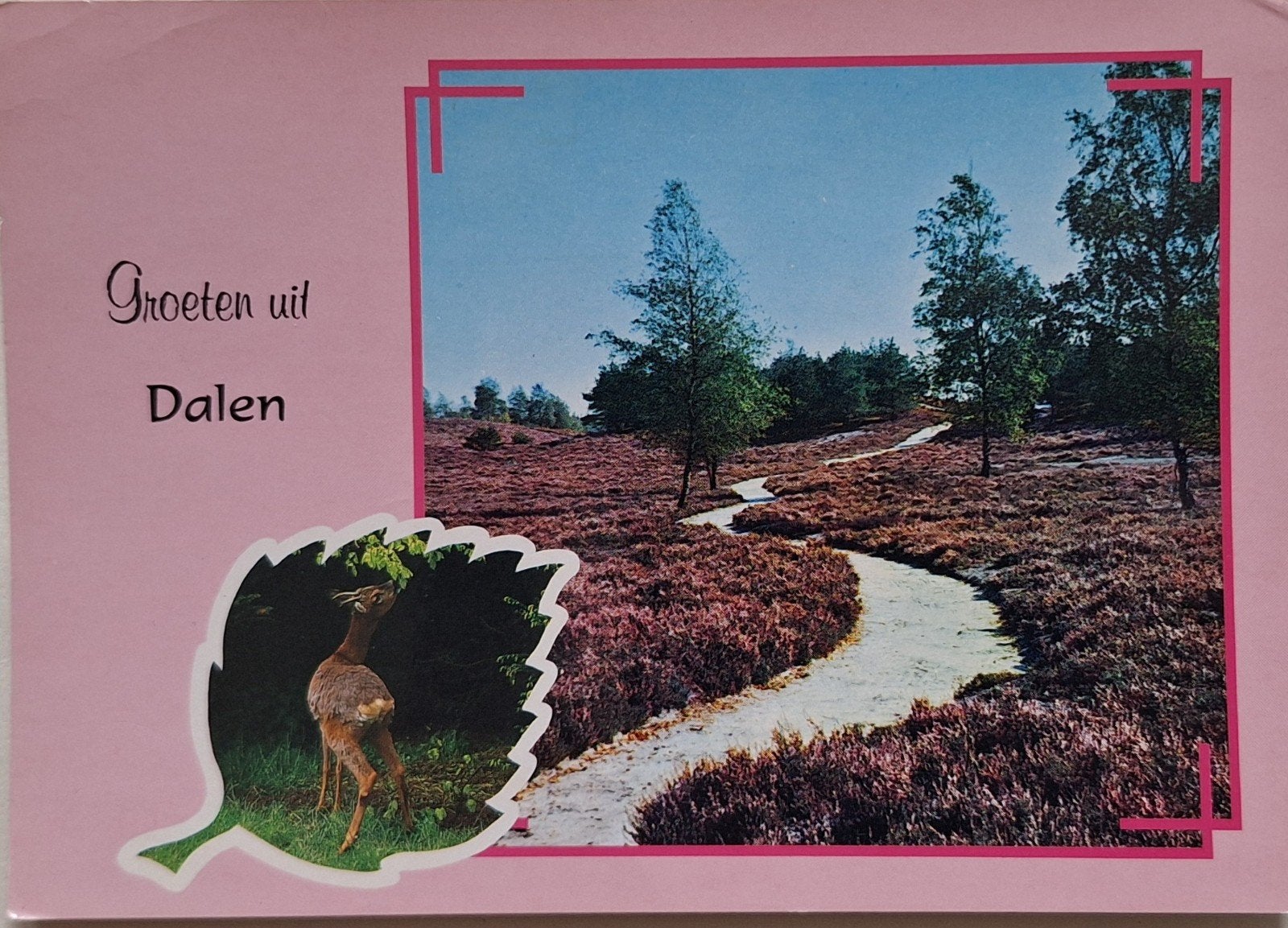 Ansichtkaart Groeten uit Dalen - Drenthe (Gelopen), Ophalen of Verzenden, 1980 tot heden, Gelopen, Drenthe