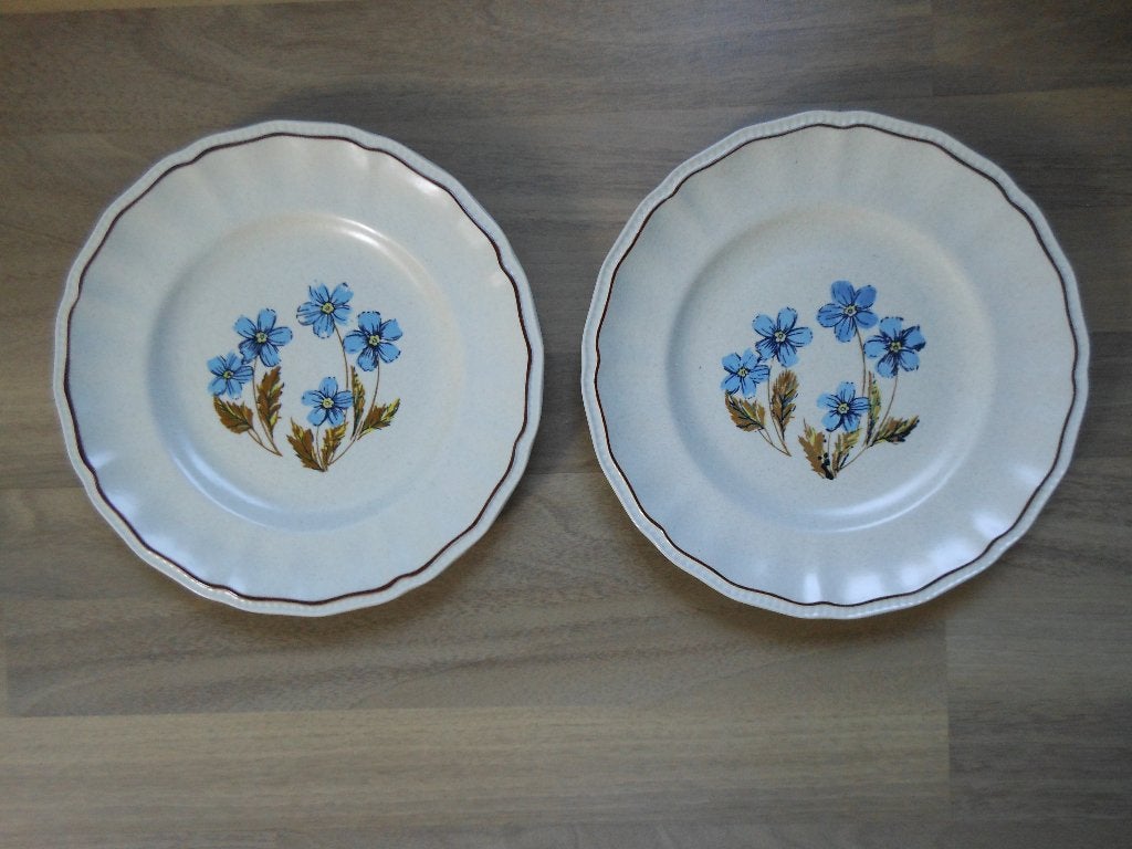 2 borden met bloemmotief merk Krnsington, Antiek en Kunst, Ophalen of Verzenden