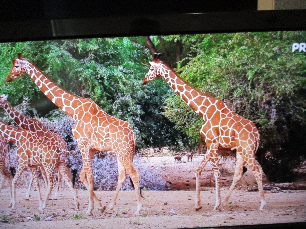 panasonic tv viera 32 inch, Panasonic, Ophalen of Verzenden, Zo goed als nieuw, 100 Hz