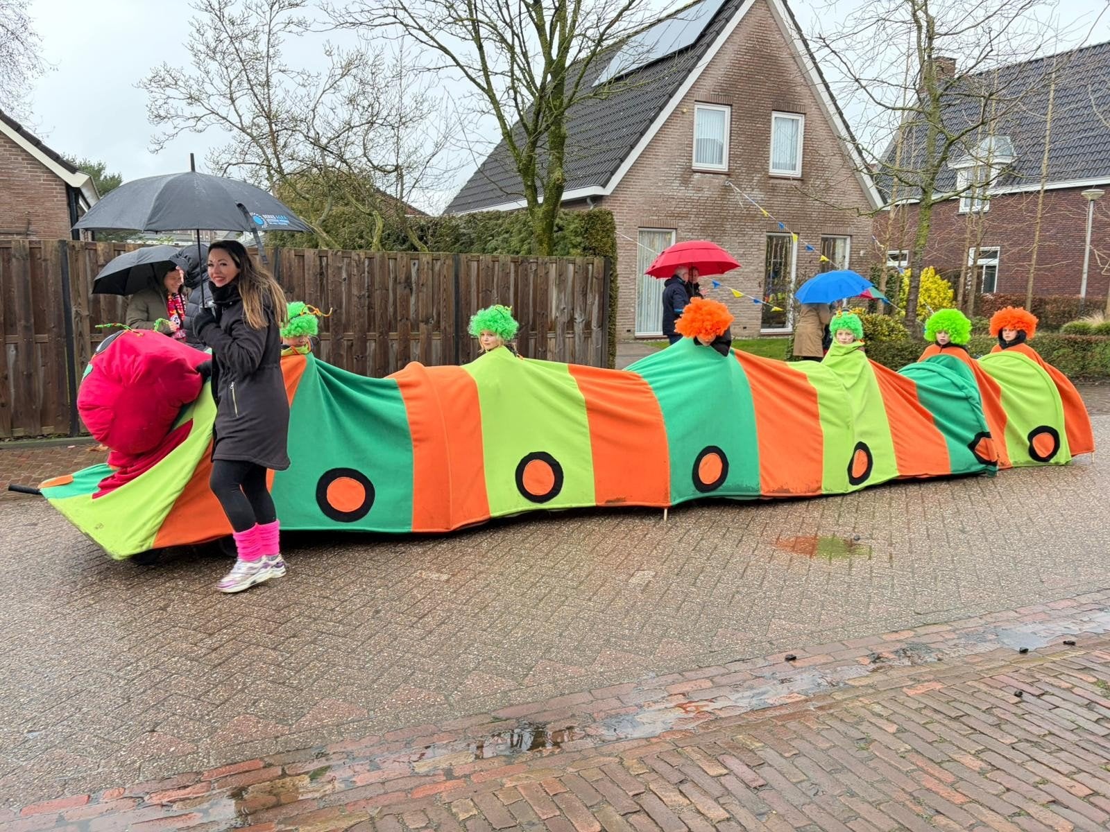 Carnavals costuum rups, Ophalen, 104 of kleiner, Jongen of Meisje