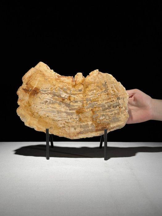 Gefossiliseerd hout van Sooka, custom made standaard (nieuw), Verzenden, 20 - 50 cm, Beeld, Bruin