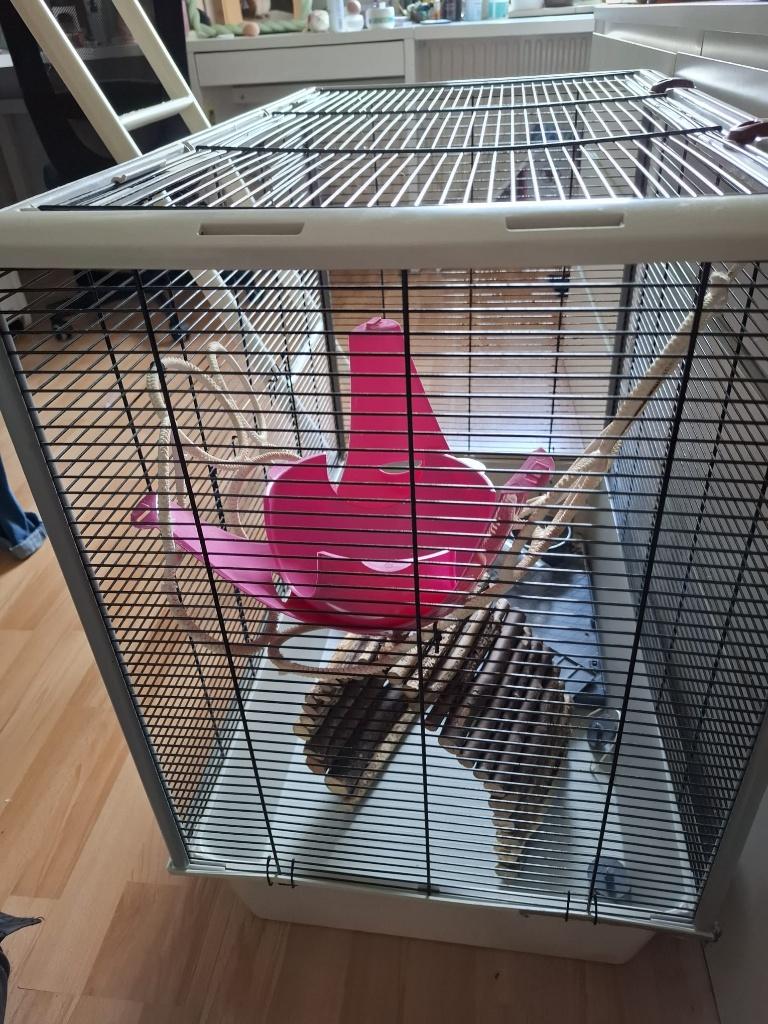 Rattenkooi, transportmandje en toebehoren, Dieren en Toebehoren, Ophalen, Gebruikt, 60 tot 90 cm, 75 tot 110 cm