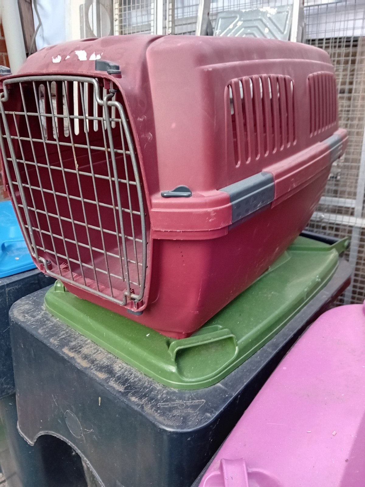 Tekoop grote transport box, Dieren en Toebehoren, Ophalen, Zo goed als nieuw