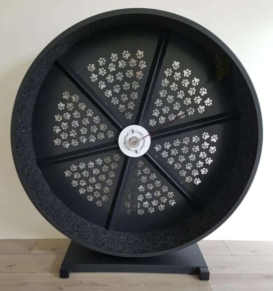 GEVRAAGD: Cody's Catswheel, Ophalen, Zo goed als nieuw, Overig speelgoed