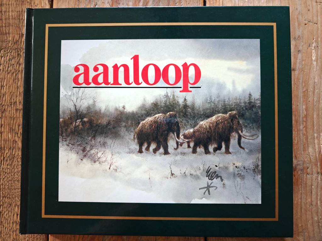 Aanloop., Boeken, Ophalen of Verzenden, Zo goed als nieuw