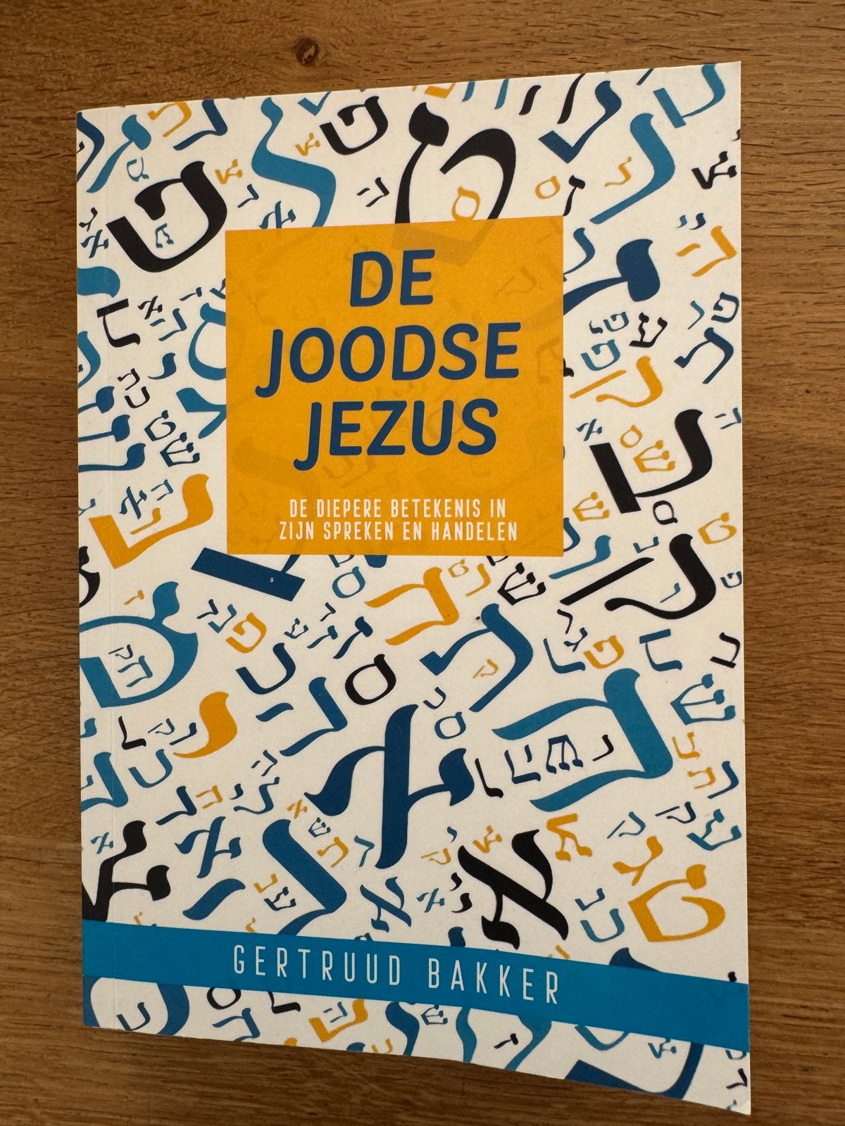 De Joodse Jezus - Gertruud Bakker, Ophalen of Verzenden, Zo goed als nieuw, Christendom | Katholiek