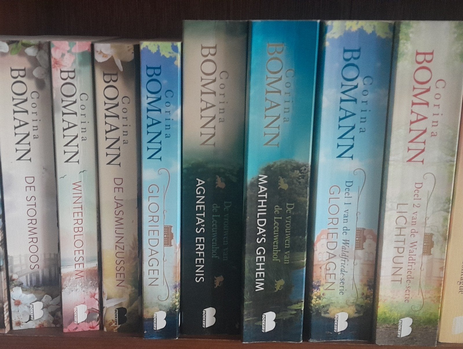 Corina Bomann boekenreeks - 8 romans, Ophalen of Verzenden, Gelezen, Corina Bomann