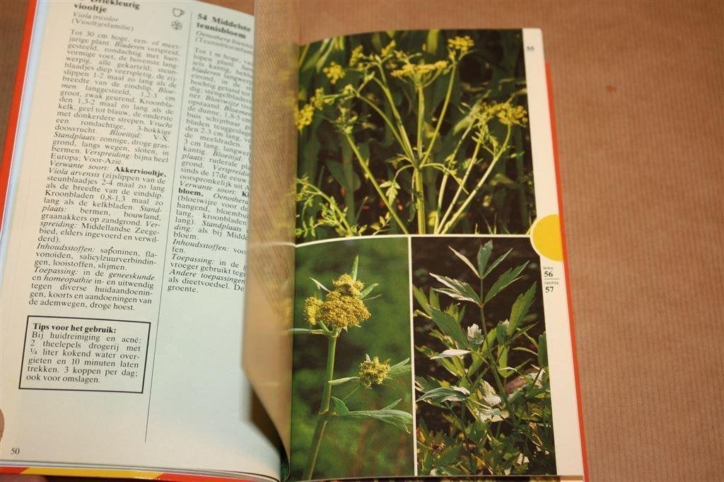 Geneeskrachtige plantengids in kleur - Thieme - Dieter Podle, Boeken, Natuur, Ophalen of Verzenden, Gelezen, Bloemen, Planten en Bomen