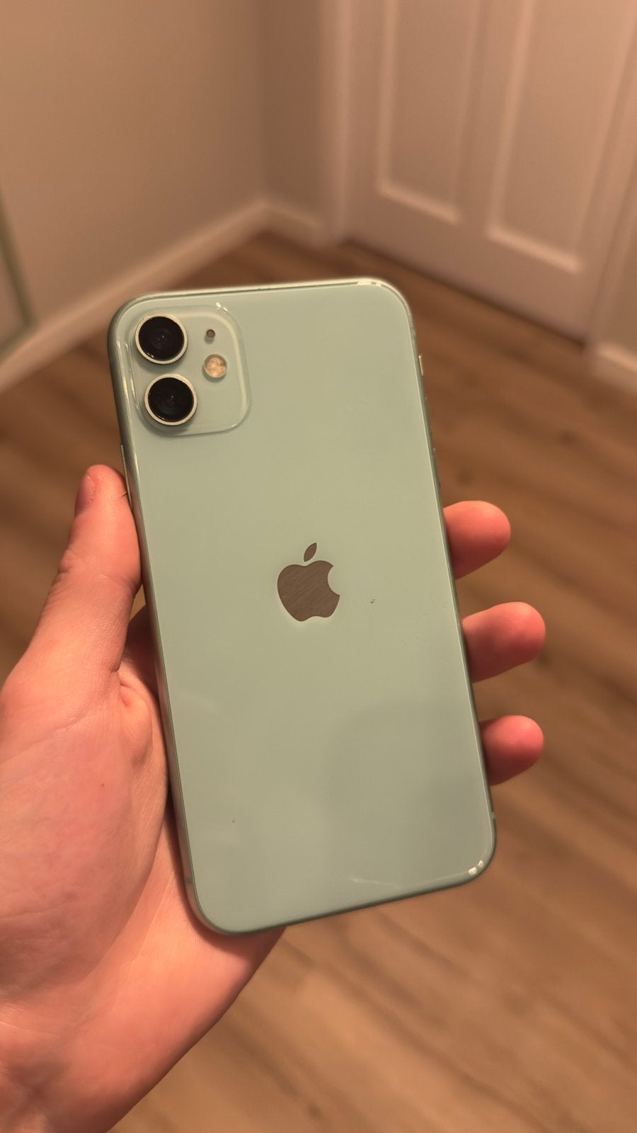 iPhone 11 Mintgroen 64GB  iCloud-lock & Touch defect, Telecommunicatie, Mobiele telefoons | Apple iPhone, Niet werkend, 64 GB