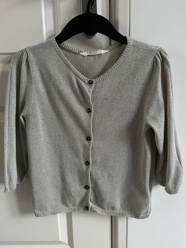 Zilverkleurig vestje met glitters maat 146/152, Ophalen of Verzenden, Zo goed als nieuw, Meisje, Trui of Vest