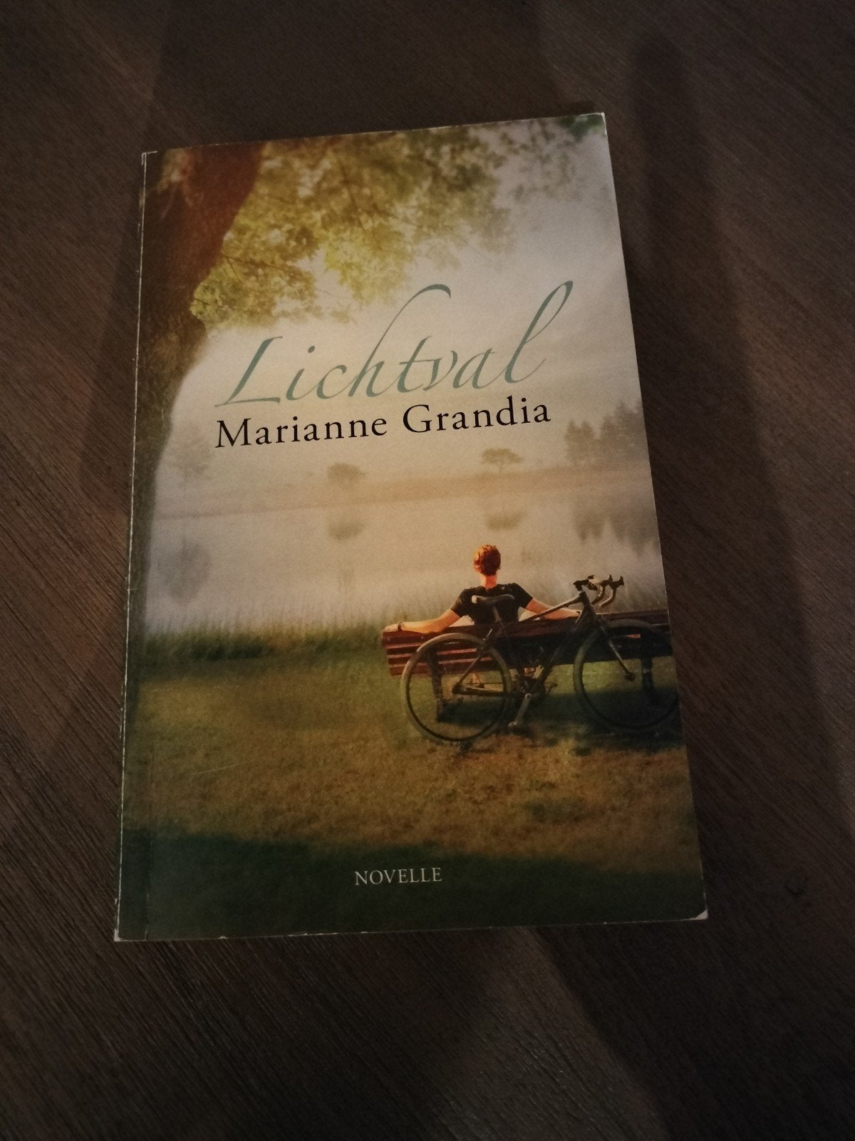Lichtval - Marianne Grandia (Novelle), Boeken, Ophalen of Verzenden, Zo goed als nieuw, Marianne Grandia, Nederland