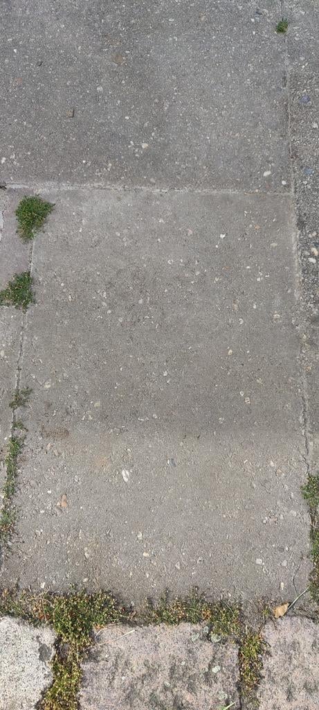 GEZOCHT: gratis betontegels van 40x60 cm met gladde kant, Ophalen, Gebruikt, Beton, Terrastegels