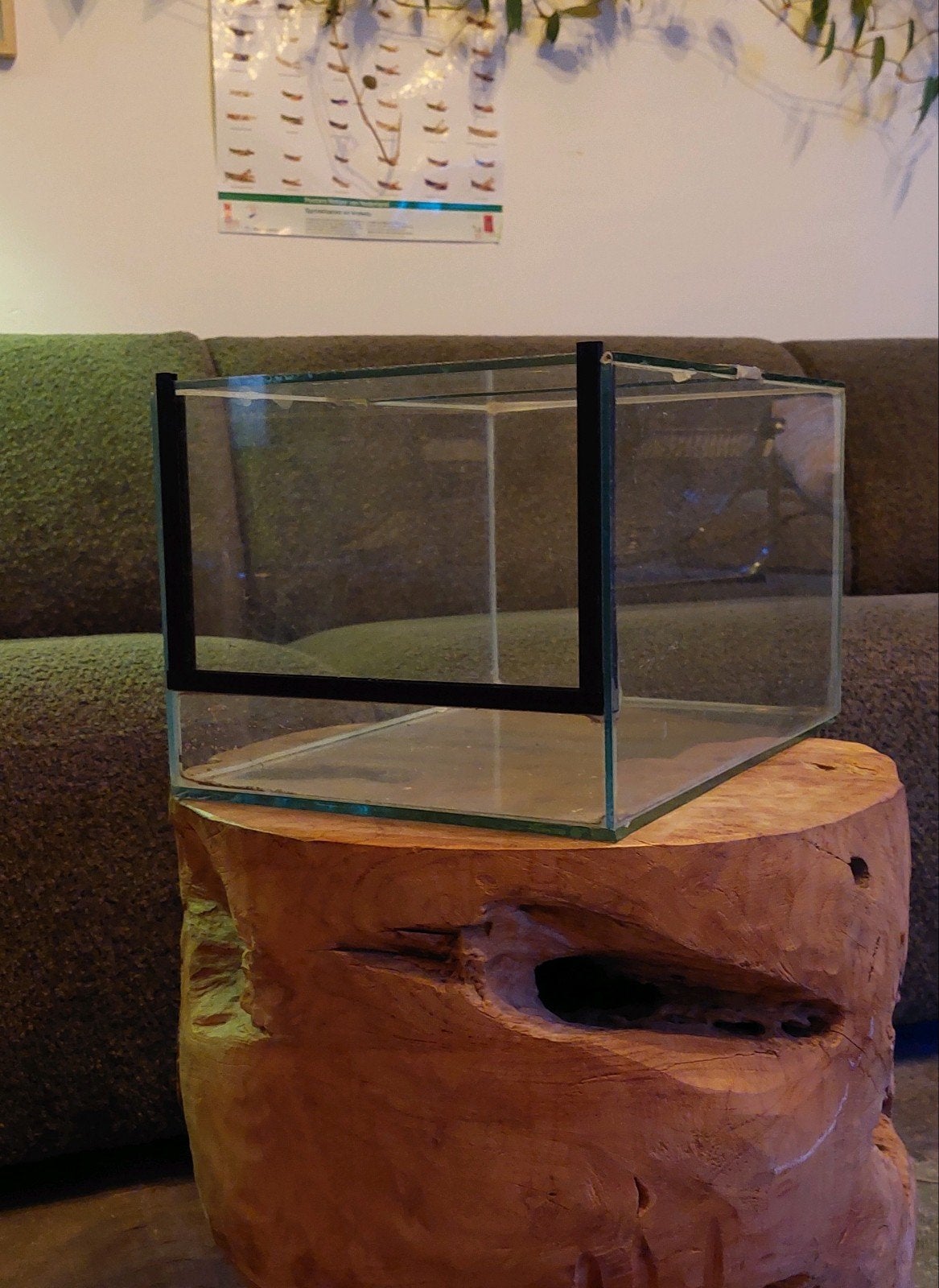 Terrarium 25x20x35, Dieren en Toebehoren, Ophalen, Gebruikt, Terrarium of Paludarium