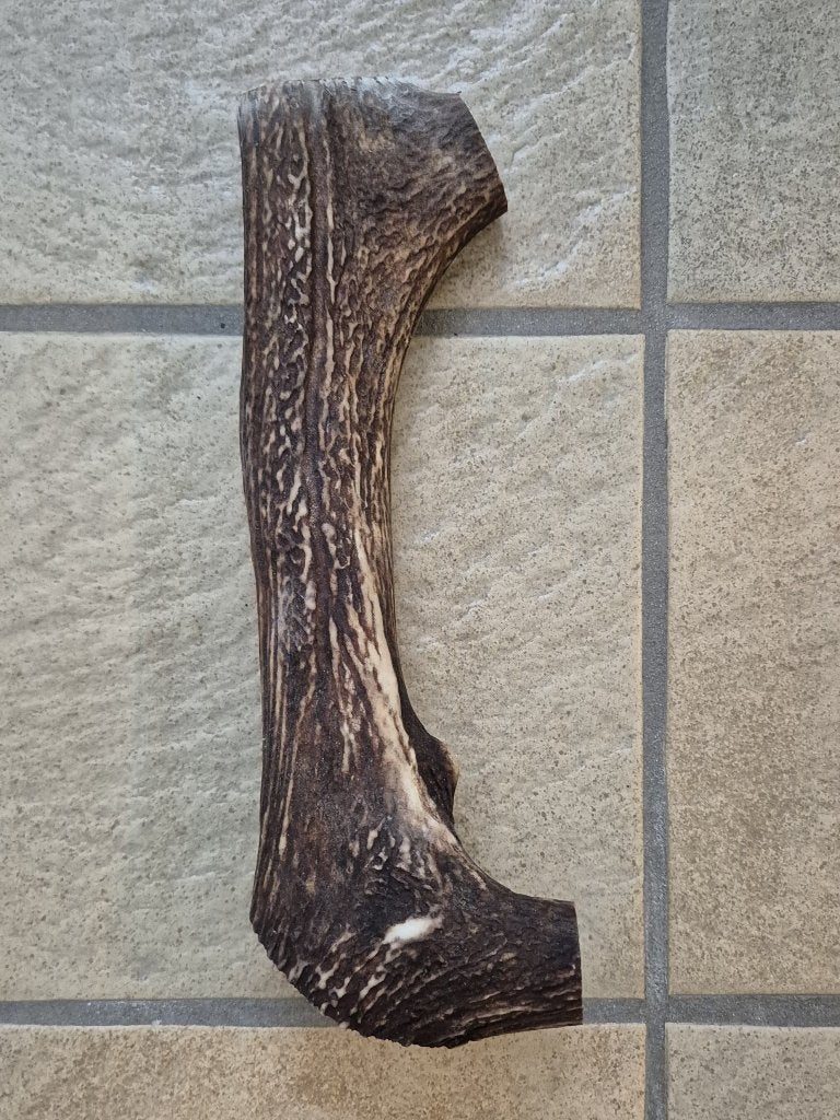 XXL Honden snack gewei kauw bot € 12,50 lengt 25 cm 480 gram, Ophalen of Verzenden, Gebruikt, Hert, Gewei of Kop