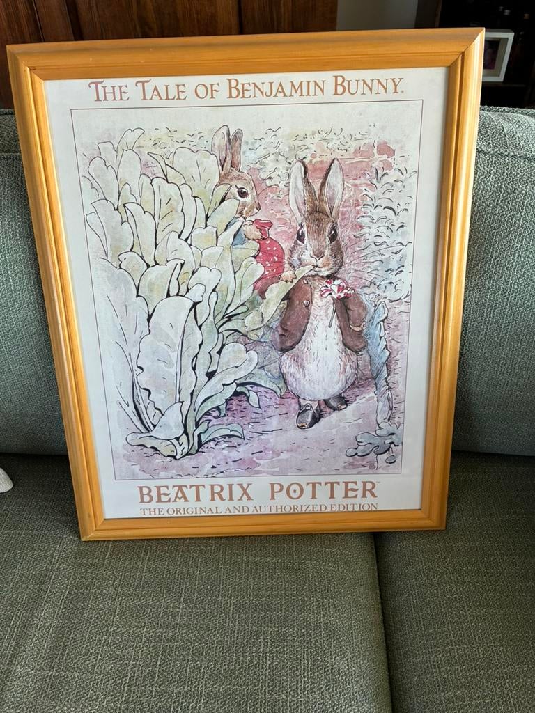 Schilderij van Peter Rabbit, Ophalen, Zo goed als nieuw, 50 tot 75 cm, Schilderij