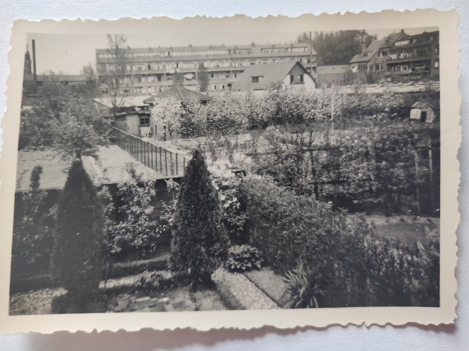 B3 Dordt Oranjelaan Tuin Landbouwschool LUX, Verzamelen, Ophalen of Verzenden, Voor 1940, Gebruikt, Overige onderwerpen