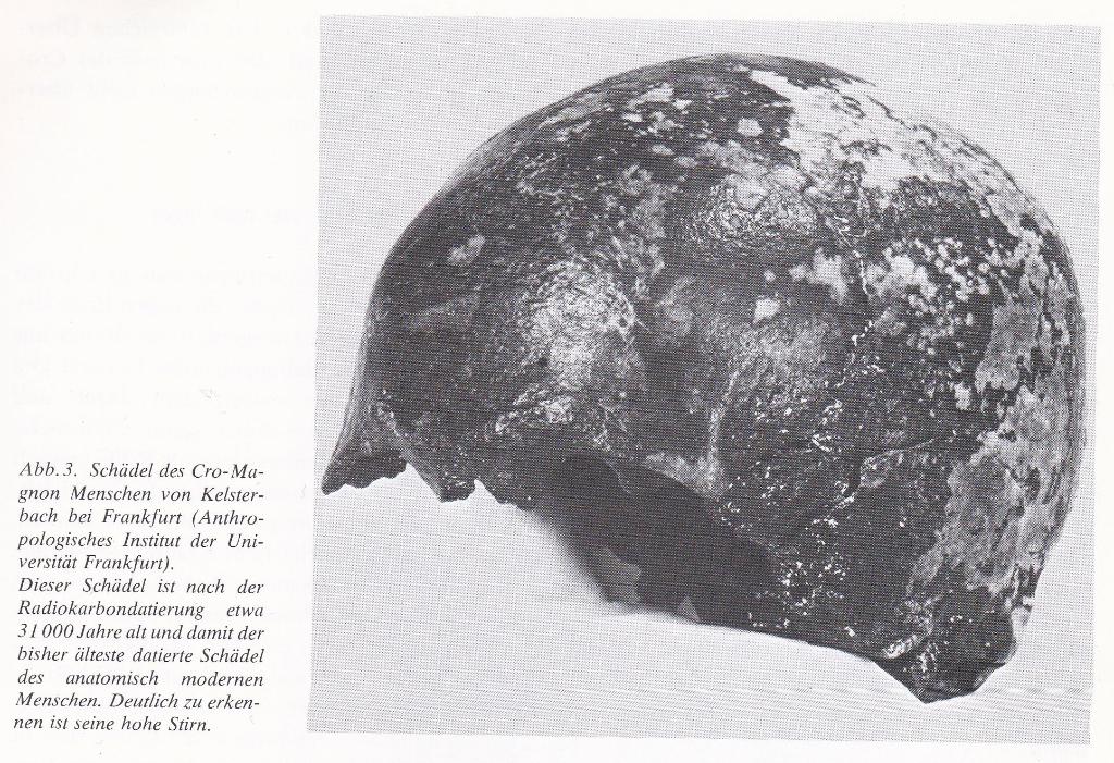 Koenigswald & Hahn - Jagdtiere und Jäger der Eiszeit (1981), Ophalen of Verzenden, Nieuw, Natuurwetenschap