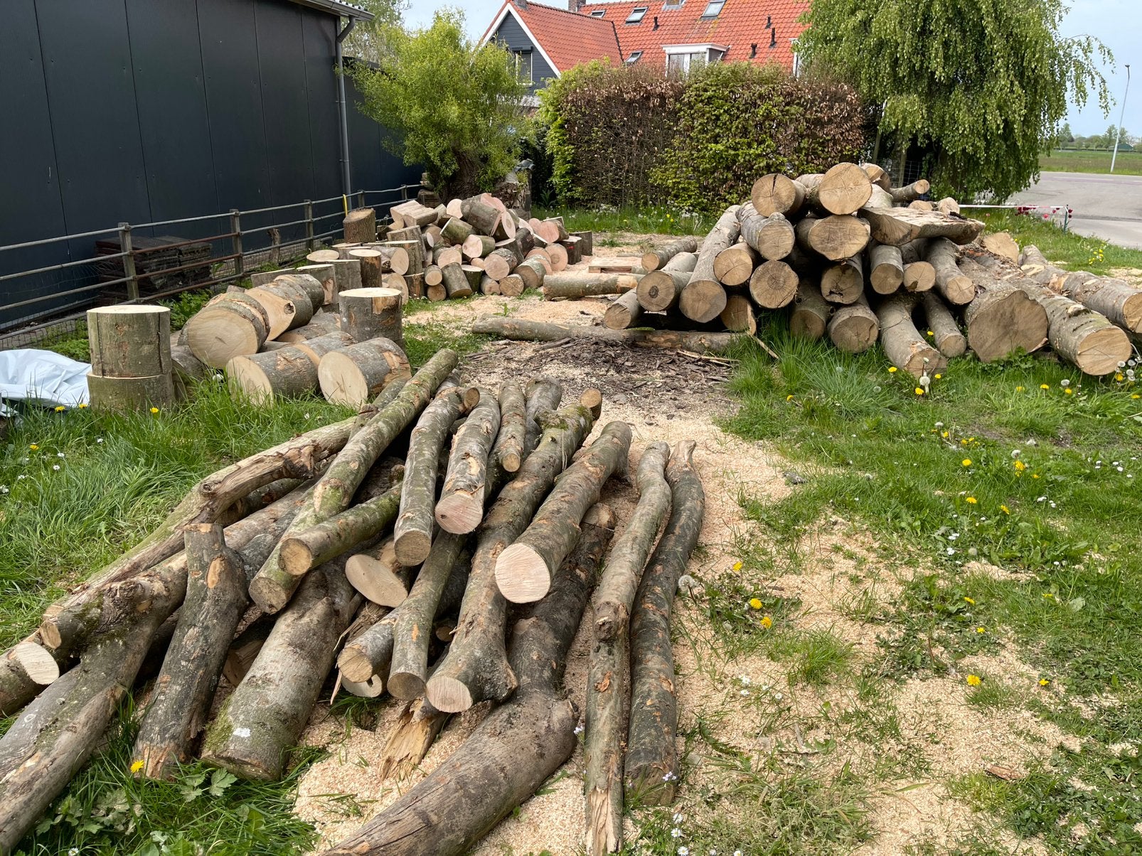 Stammen essenhout, Tuin en Terras, Haardhout, Minder dan 3 m³, Ophalen of Verzenden