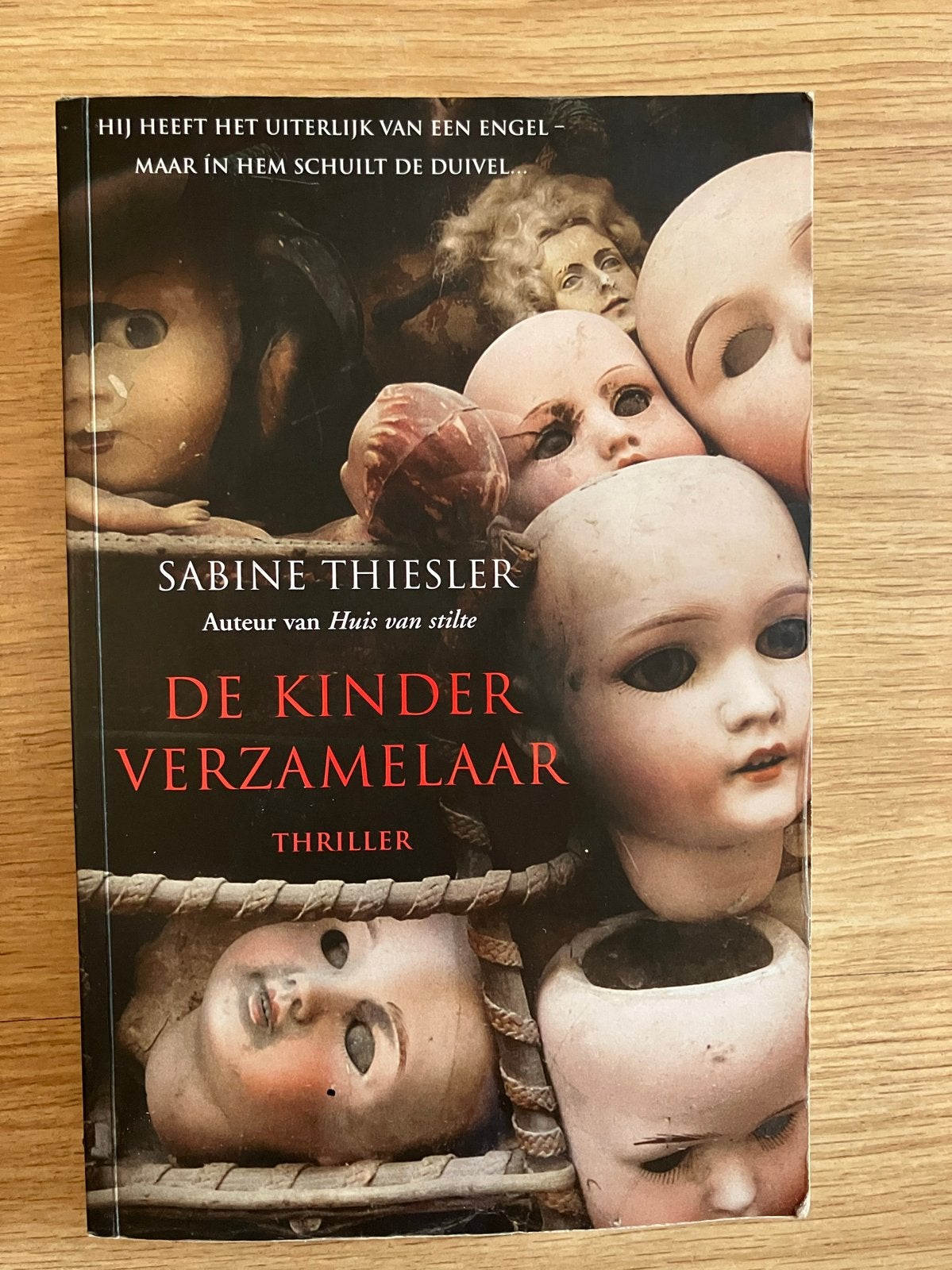 De Kinderverzamelaar - Sabine Thiesler (Thriller), Boeken, Ophalen of Verzenden, Zo goed als nieuw, Sabine Thiesler, Europa overig