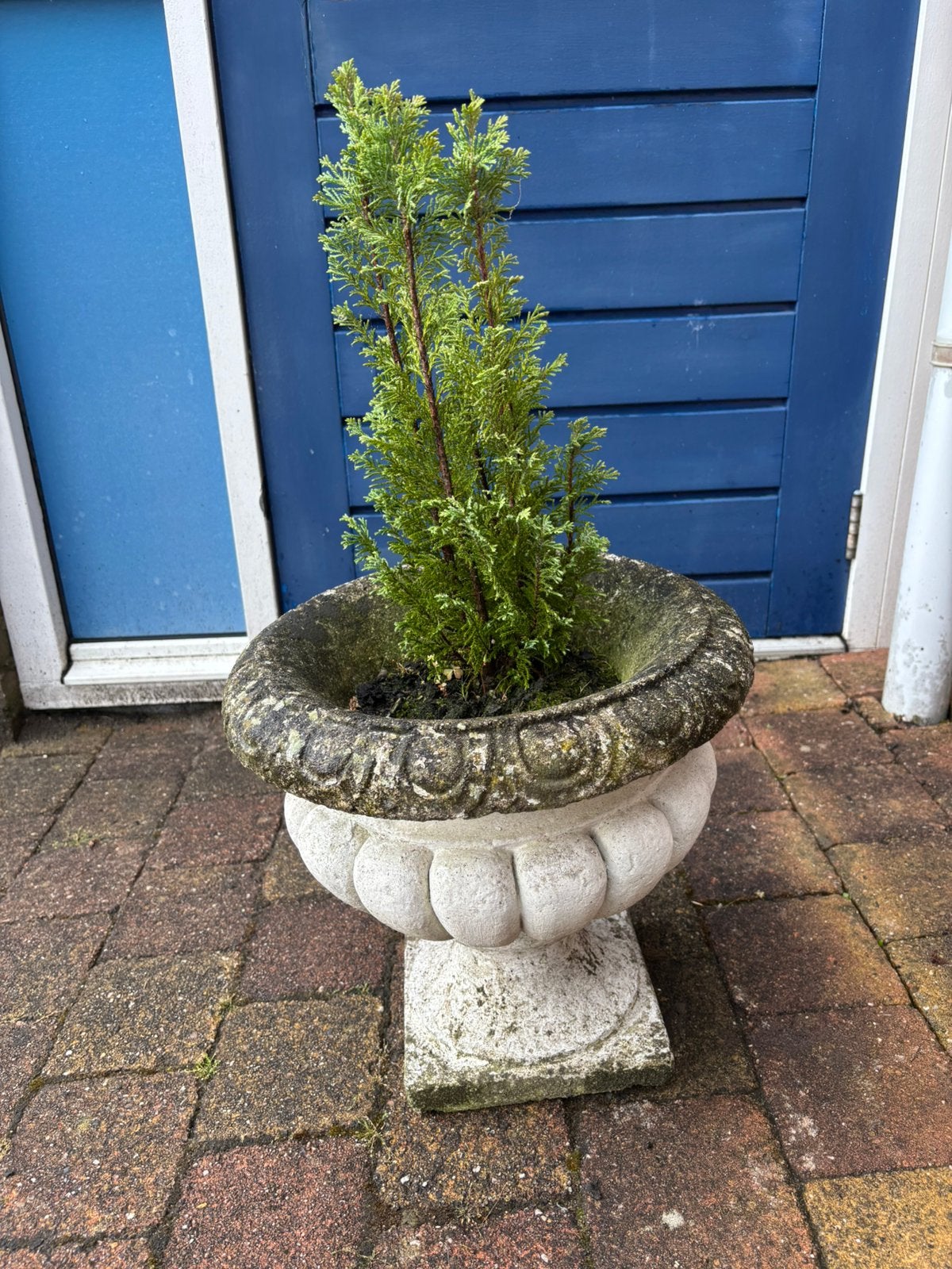 2 Betonnen Bloembakken, Tuin en Terras, Ophalen, Rond, Zo goed als nieuw, 60 tot 100 cm