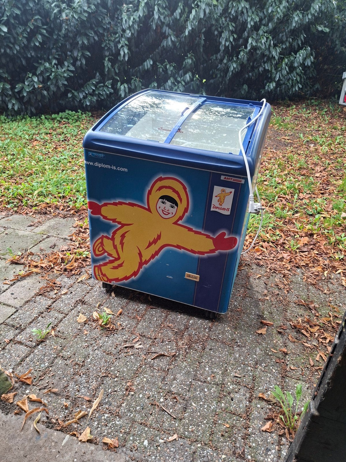 Originele Diplom-Is Diepvrieskist uit Noorwegen, Ophalen, Gebruikt, Vrijstaand, Vrieskist