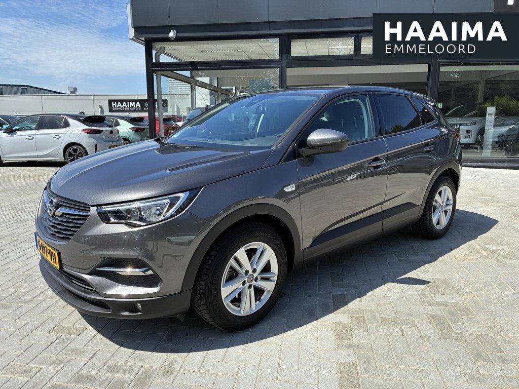 Opel Grandland X 1.2 Turbo 130Pk Online Edition | Climate co, Auto's, Opel, Bedrijf, Te koop, Grandland X, ABS, Airbags, Airconditioning