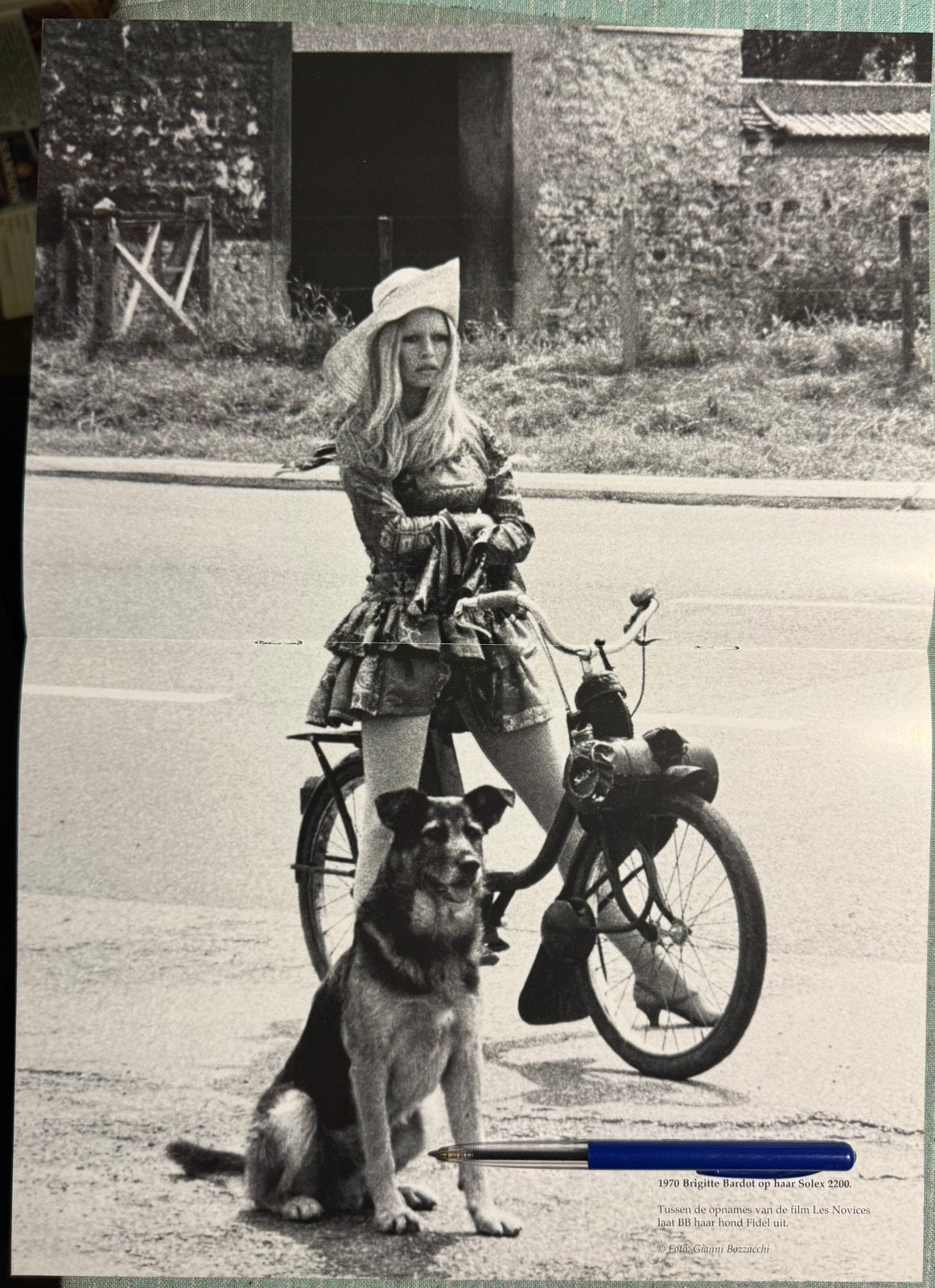 Poster Brigitte Bardot op Solex 2200 in 1970 met hond, Verzenden, Zo goed als nieuw, Auto's