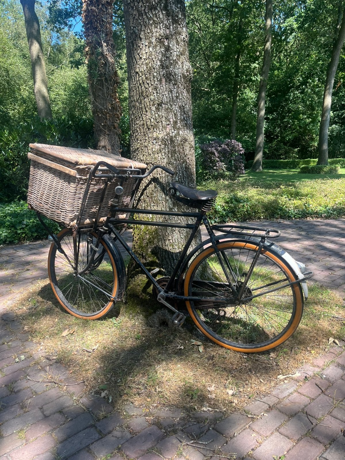 Transportfiets BATAVUS origineel, Fietsen en Brommers, Fietsen | Oldtimers, 51 tot 55 cm, Ophalen, Terugtraprem, Jaren '60 of nieuwer