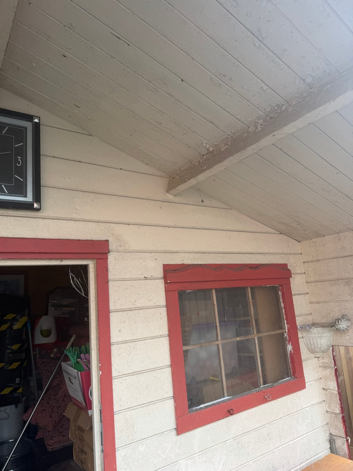 Gebruikte houten schuur met ramen en deur, Tuin en Terras, Ophalen, 250 tot 500 cm, Schuur, 2 ramen