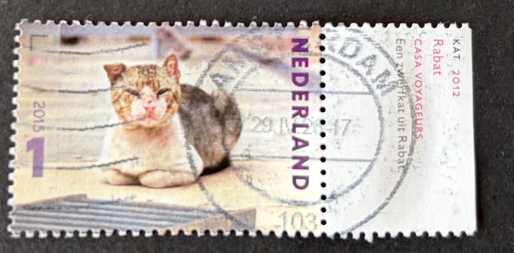 Postzegel Nederland zwerfkat in Rabat Charlotte Dumas tab, Ophalen of Verzenden, Na 1940, Gestempeld