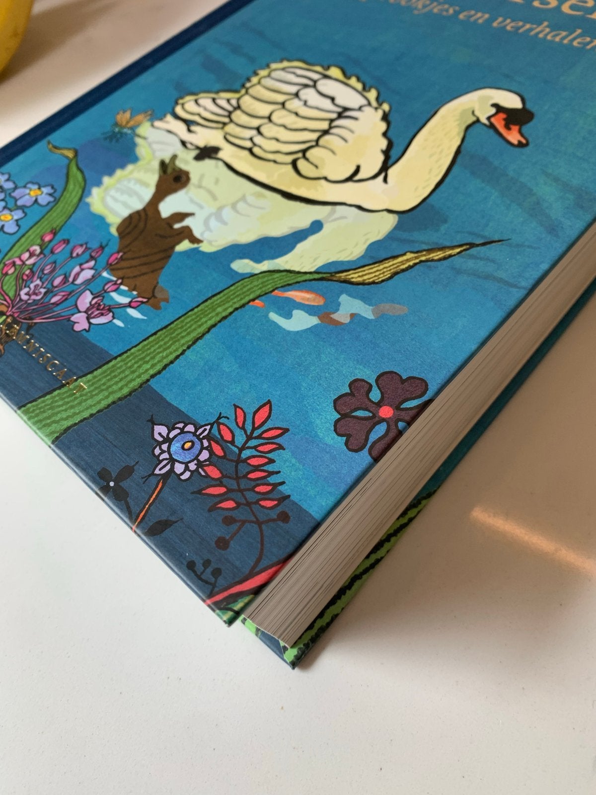 Andersen: Sprookjes en verhalen - Prachtig geïllustreerd, Ophalen of Verzenden, Nieuw