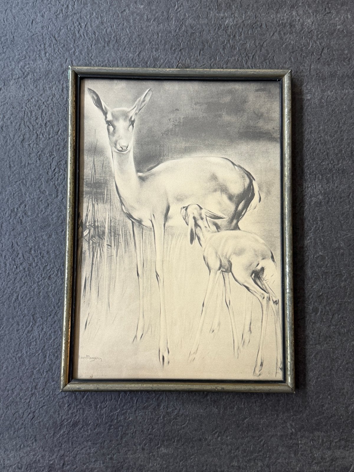 Han van Meegeren - Hert. Moeder en kalf - Tekening, Antiek en Kunst, Ophalen of Verzenden, Tekening, Potloodtekening, Gesigneerd