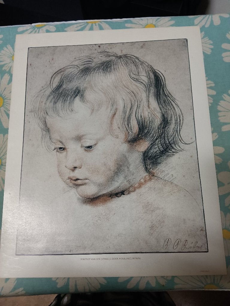 Portret van Nicolaas Rubens (kunstkopie), Ophalen of Verzenden, Reproductie