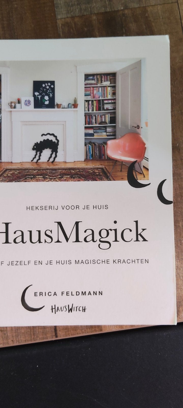 Erica Feldmann - HausMagick, Boeken, Mode, Erica Feldmann, Ophalen of Verzenden, Zo goed als nieuw, Mode algemeen