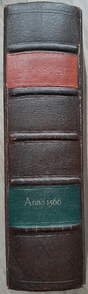 Huysboec, Gelezen, Christendom | Protestants, Ophalen of Verzenden, Heinrich Bullinger
