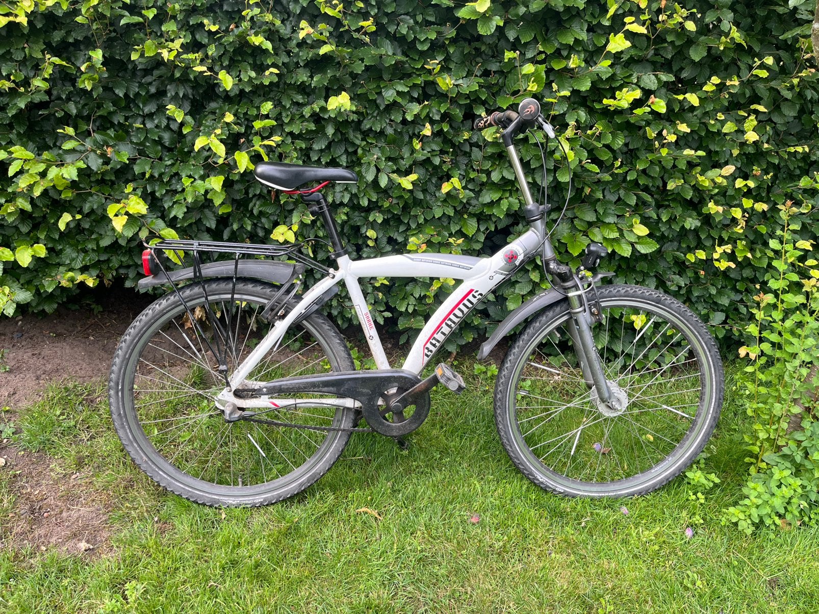 Batavus Snake 26 inch, Fietsen en Brommers, Gebruikt, Velgrem, Versnellingen, Ophalen