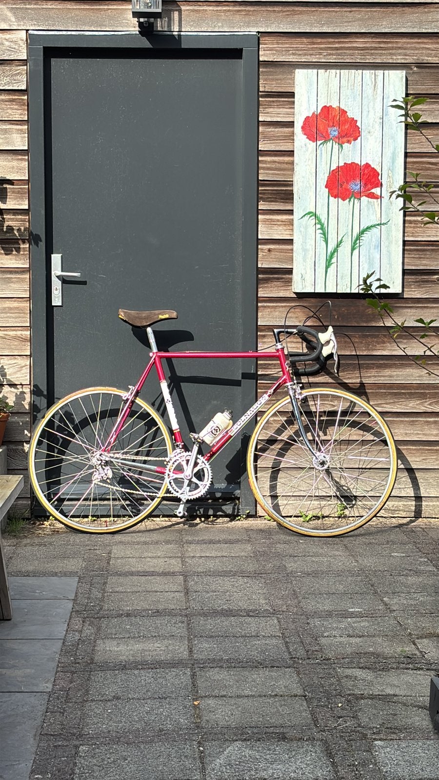 Colago Super, Campagnolo Super Recird, 28 inch, Velgrem, Zo goed als nieuw, 57 tot 61 cm