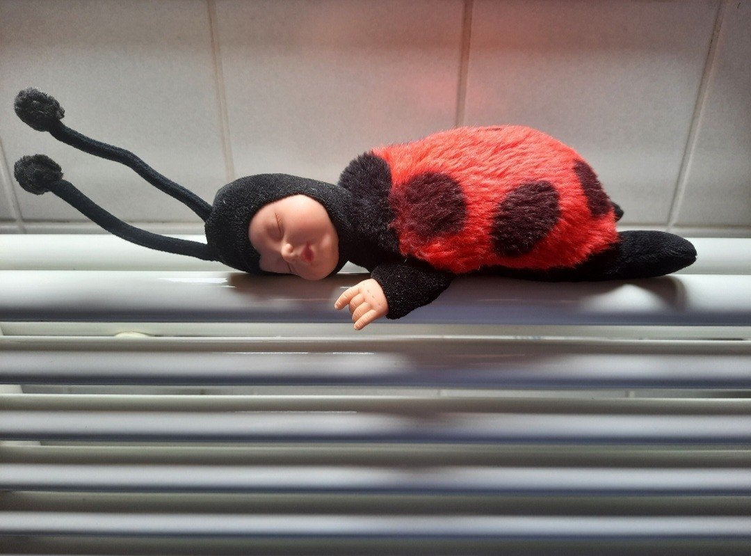 ANNE GEDDES Lieveheersbeestje Slaap Baby Pop, Ophalen of Verzenden, Gebruikt, Babypop