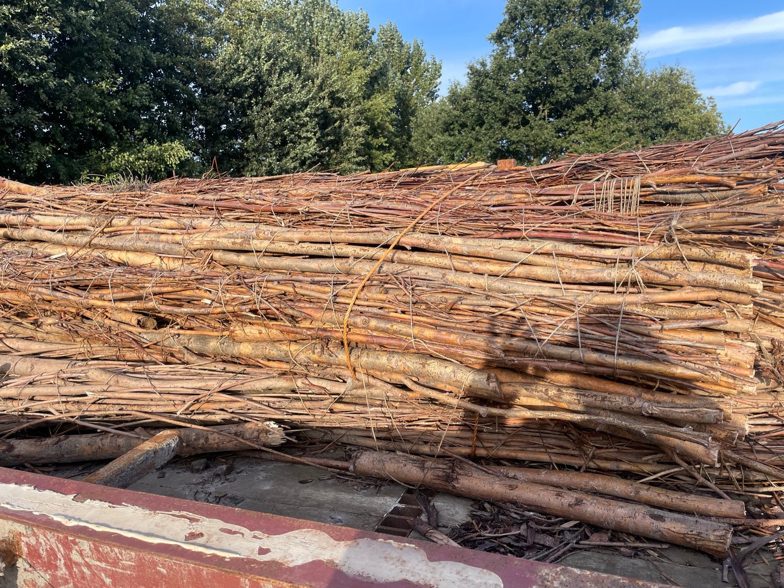 Wilgentenen bestorven, Gebruikt, Minder dan 25 mm, Overige typen, Ophalen of Verzenden