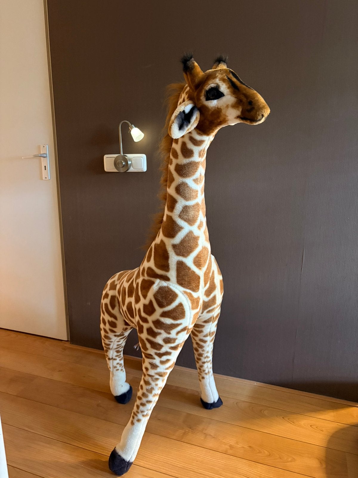 Grote giraffe, Ophalen of Verzenden, Overige typen