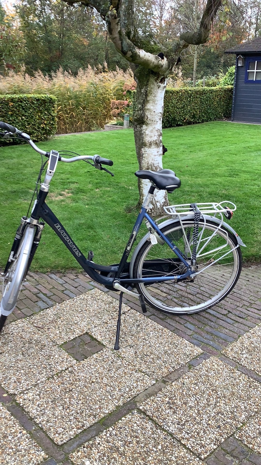 Damesfiets met trommelremmen en 8 versnellingen, Ophalen, 47 tot 50 cm, Versnellingen, Batavus