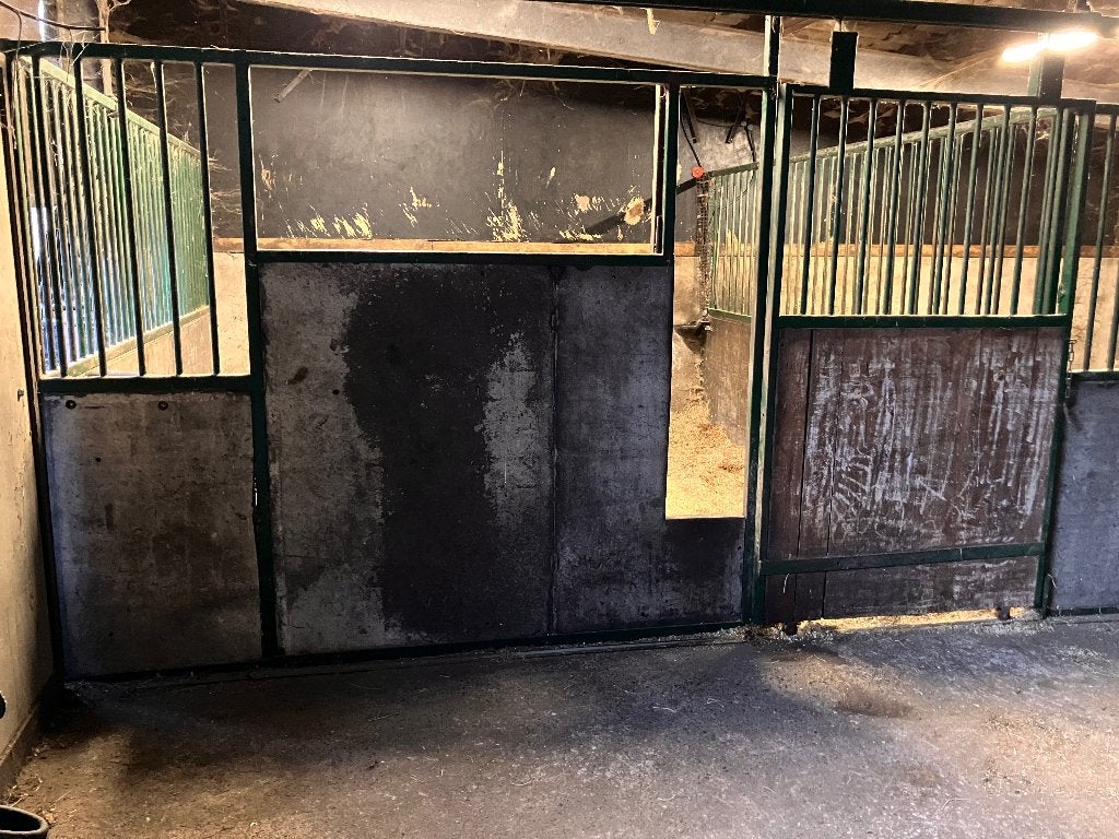 2x voorwand 3,5m met voer opening en 2x tussen/zijwand 3,5m, Stalling, 2 of 3 paarden of pony's