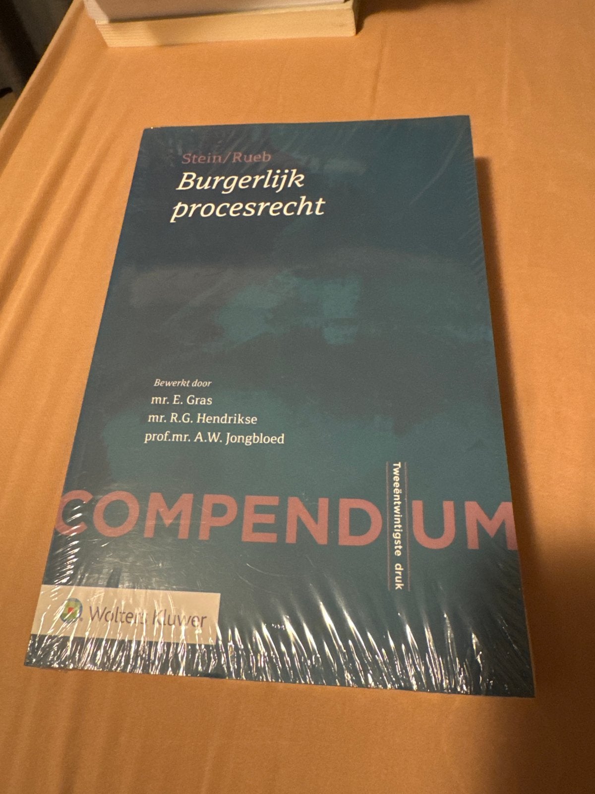 Compendium Burgerlijk procesrecht - Stein/Rueb (Nieuw), Boeken, Studieboeken en Cursussen, Ophalen of Verzenden, Gamma, Nieuw